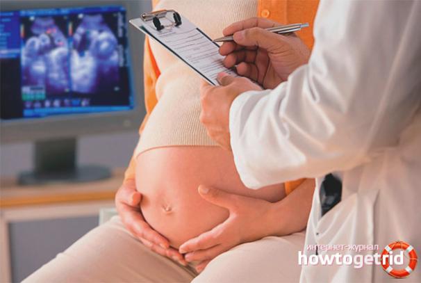 Kolik screeningů se provádí během těhotenství?